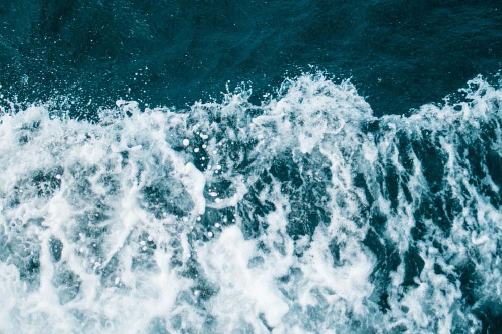 amelia-barklid-CUmCByAhXyQ-unsplash plasma marin naturopathe paris 11